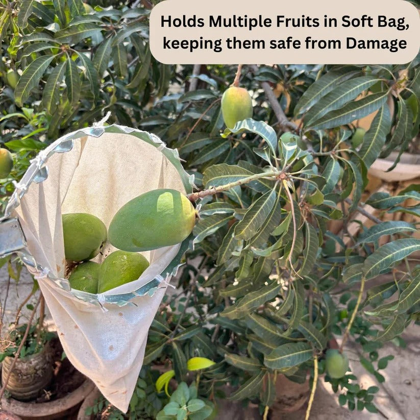 Fruit Picker Basket Tools
