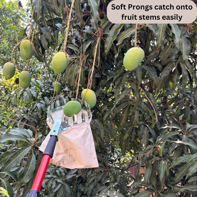Fruit Picker Basket Tools