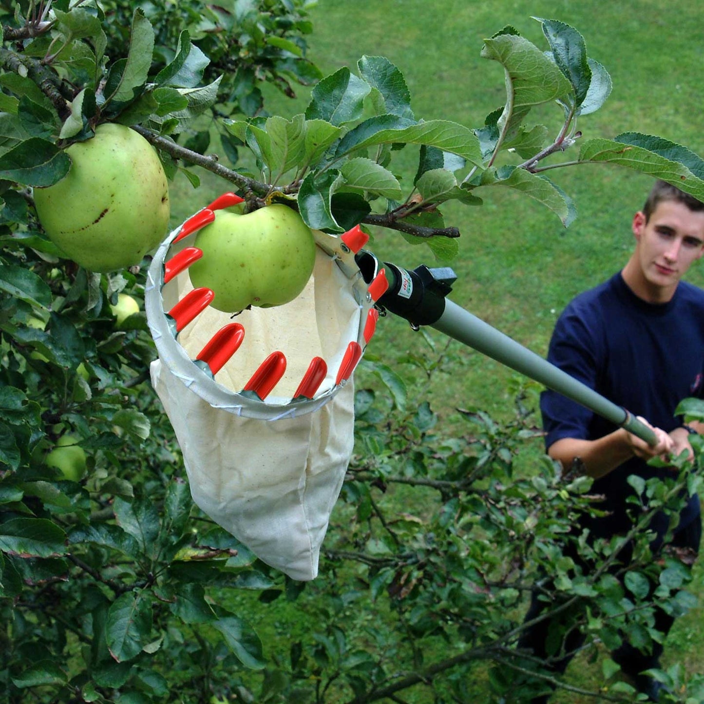 Fruit Picker Basket Tools